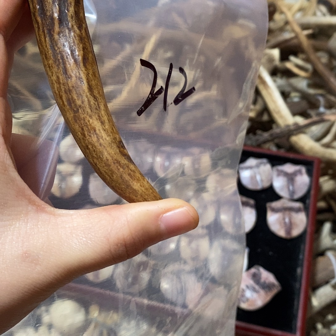 沉***肖非金属鹿角鹿角鹿角鹿角