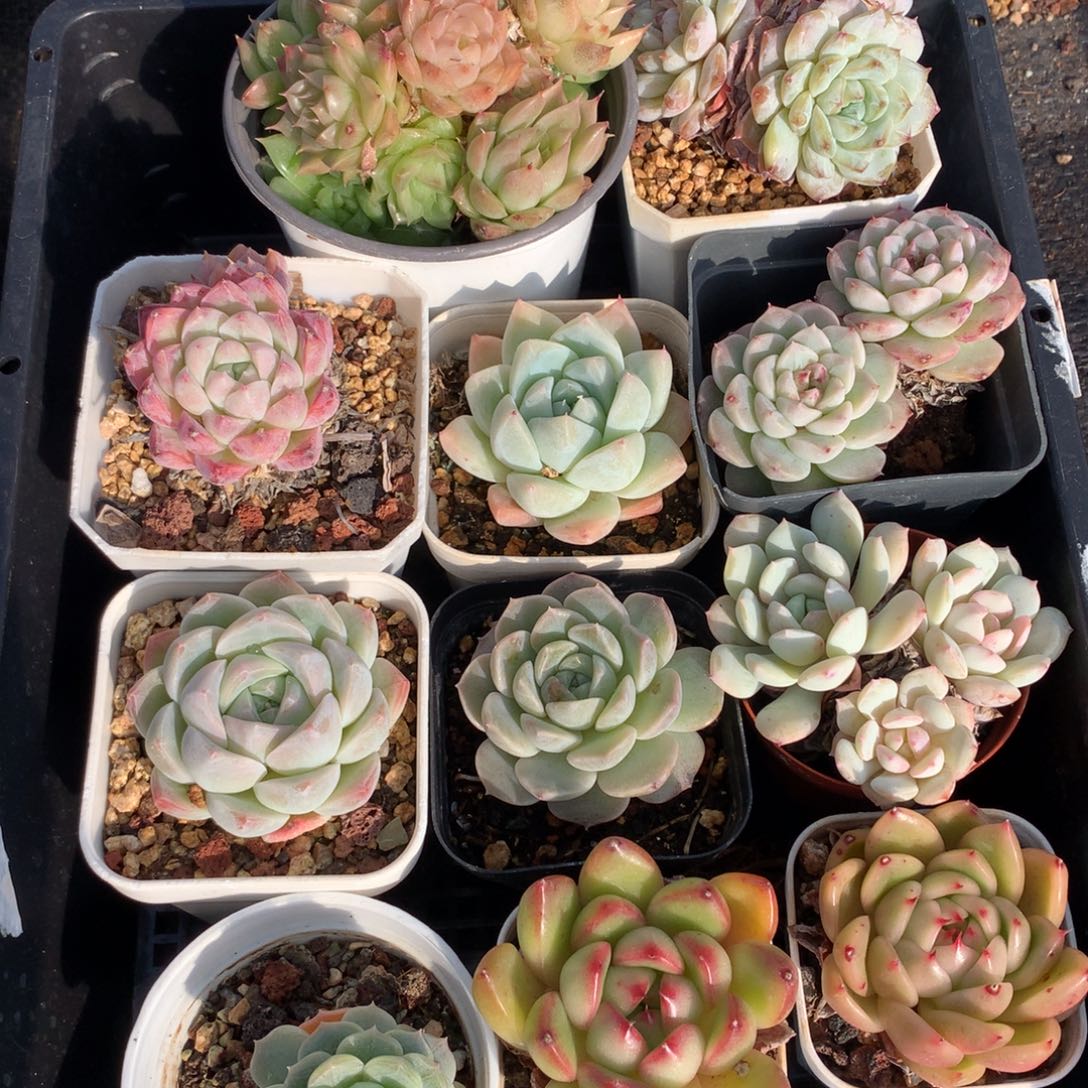 1221-15 套餐一组