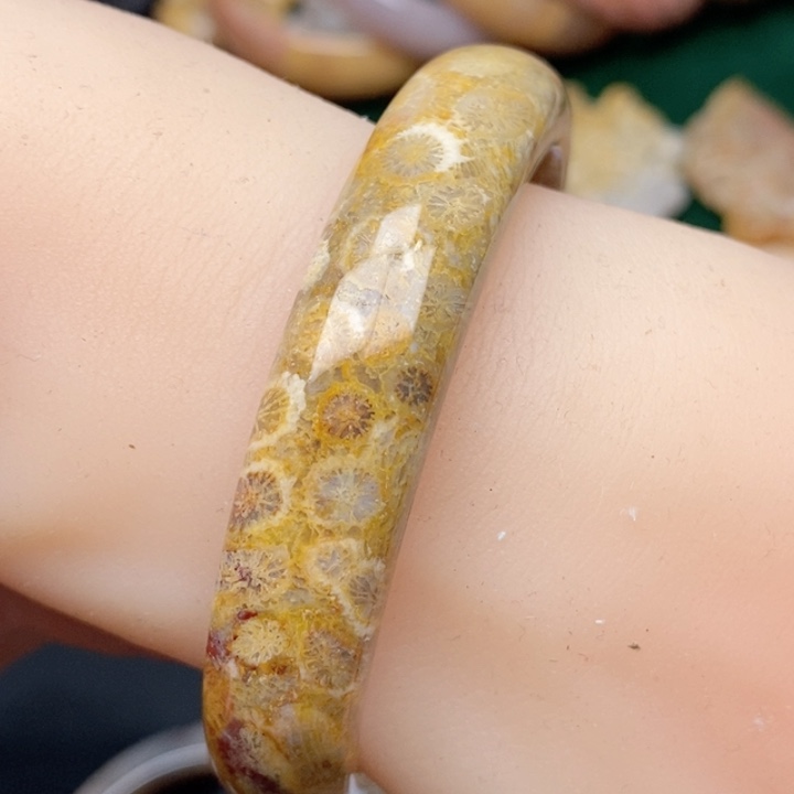 硅化珊瑚（珊瑚玉）手镯未镶嵌58.3