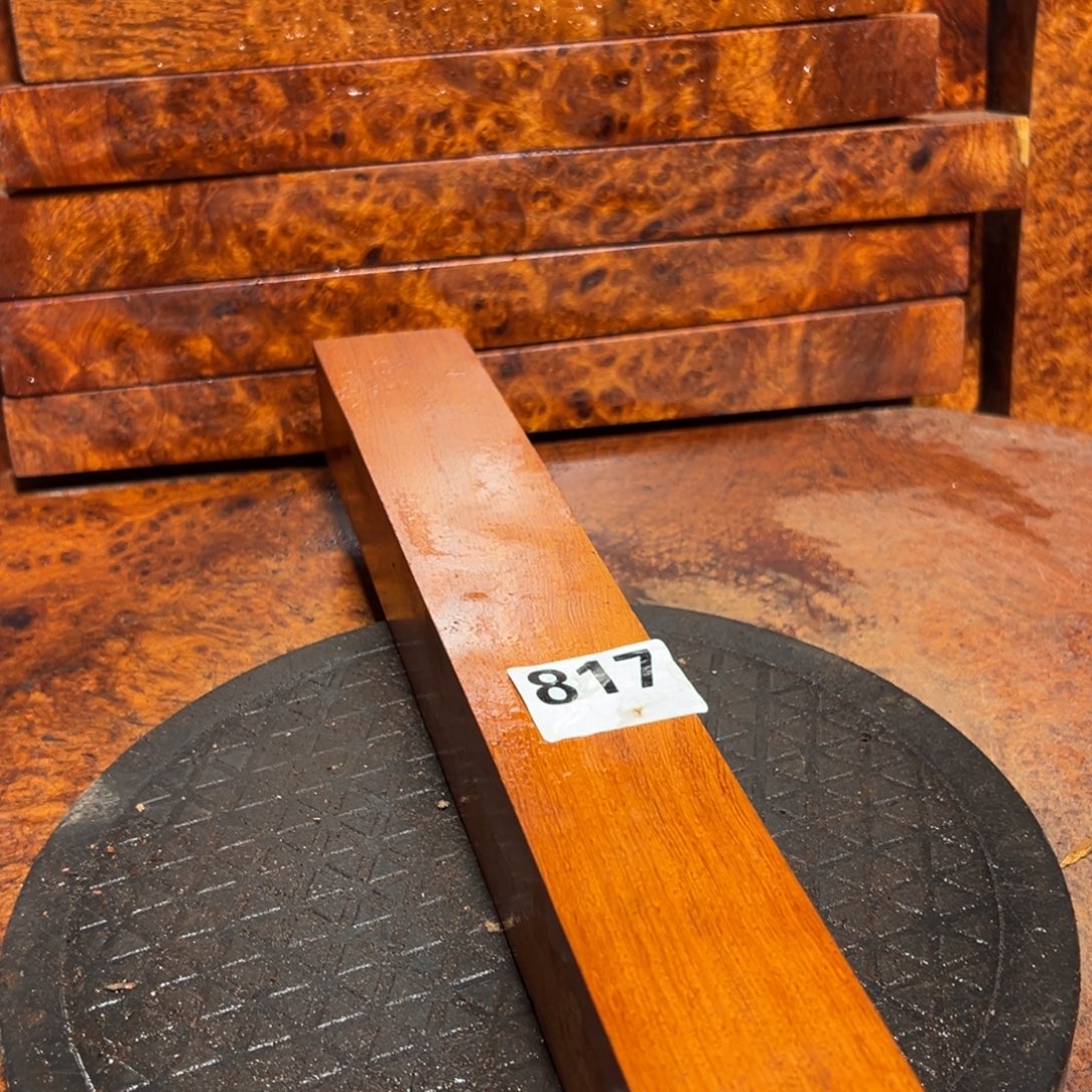 大果紫檀（缅甸花梨）