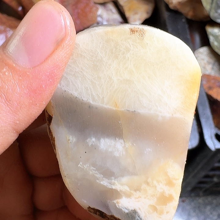 红***玩寿山石寿山石的种类