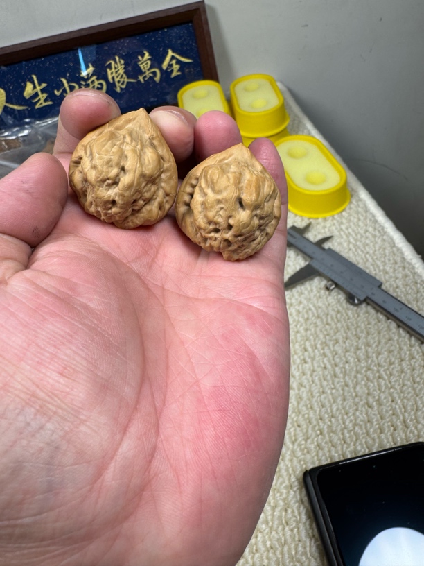 核桃古蟾全品 尺寸35