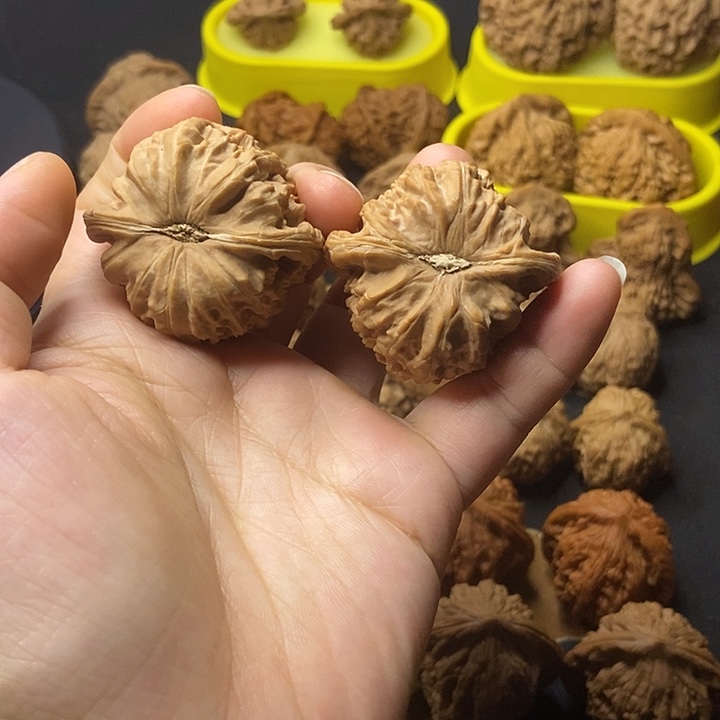 文玩核桃   白狮子全品