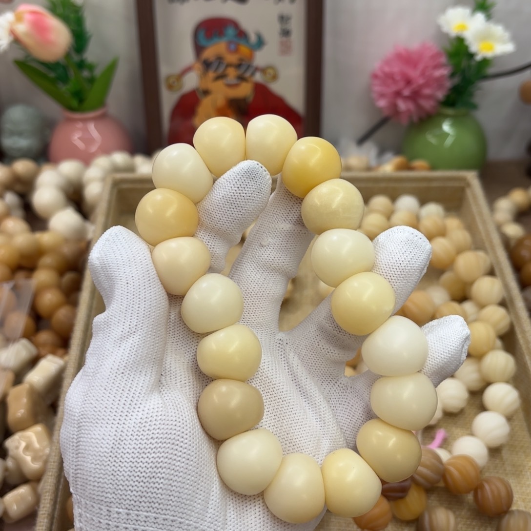 吊坠菩提根/象牙果20干磨瑕疵落地果肠703