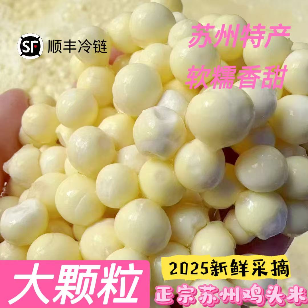【2025苏州正宗纯手剥新鲜鸡头米】大颗粒 Q弹 软糯香甜