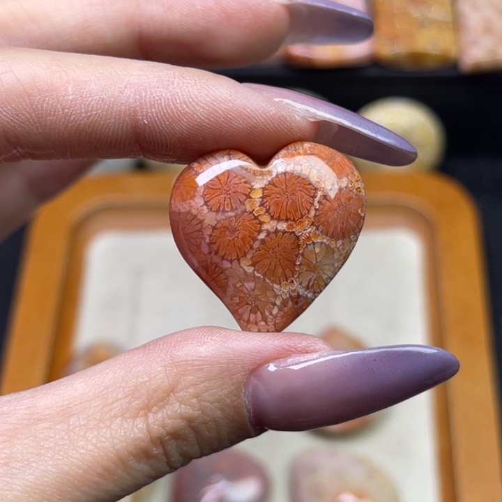 未镶嵌吊坠硅化珊瑚（珊瑚玉）