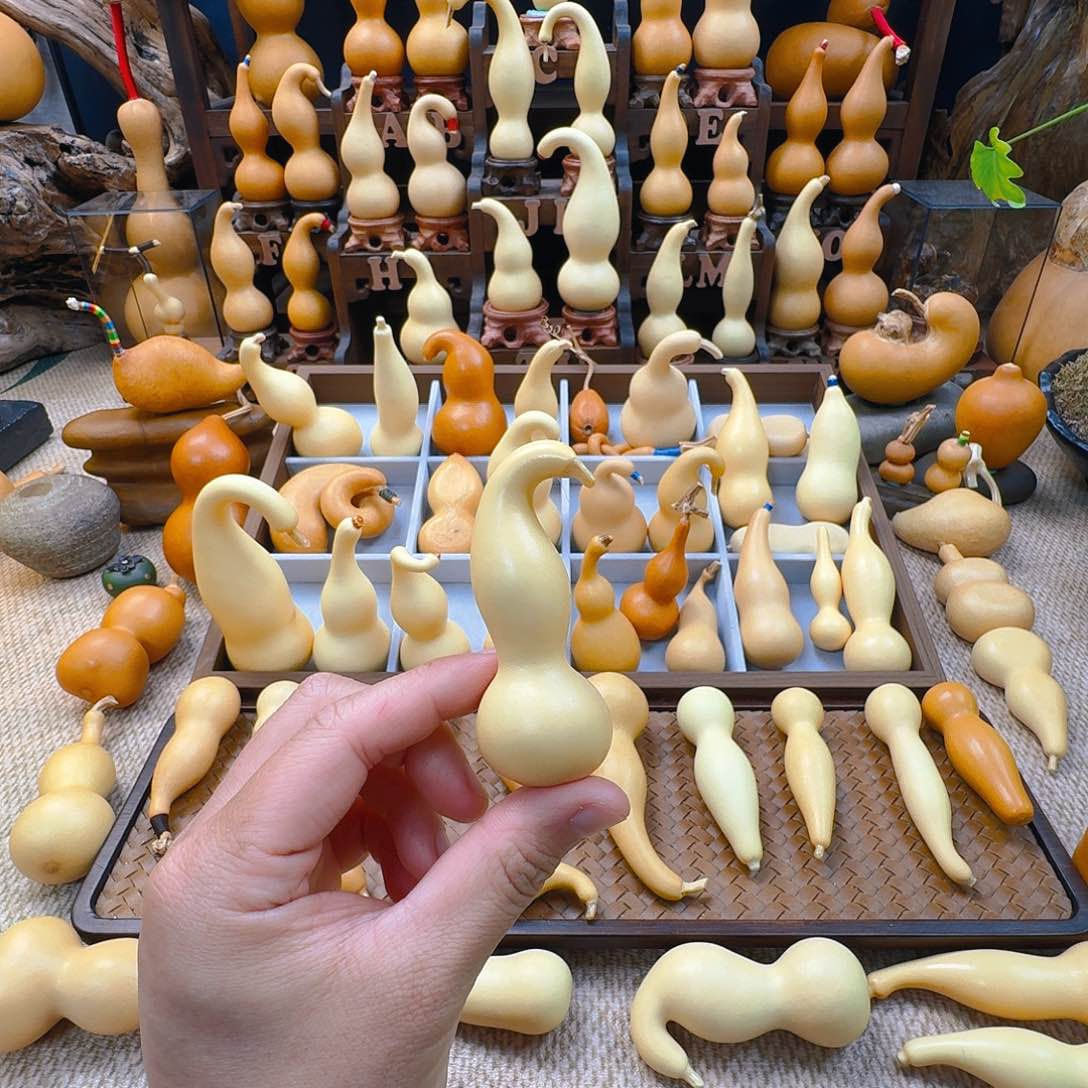 葫芦太*葫芦葫芦