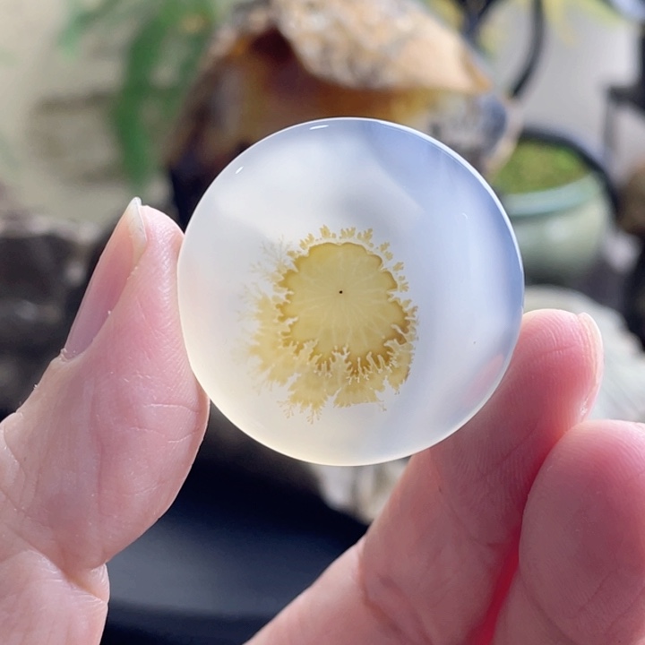 玛瑙/玉髓珠宝半成品未镶嵌