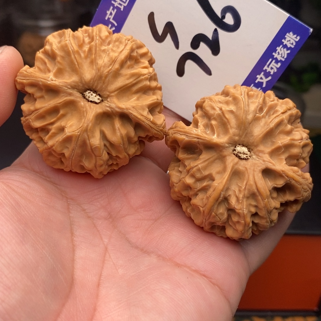文玩核桃把件苹果园狮子头46全品
