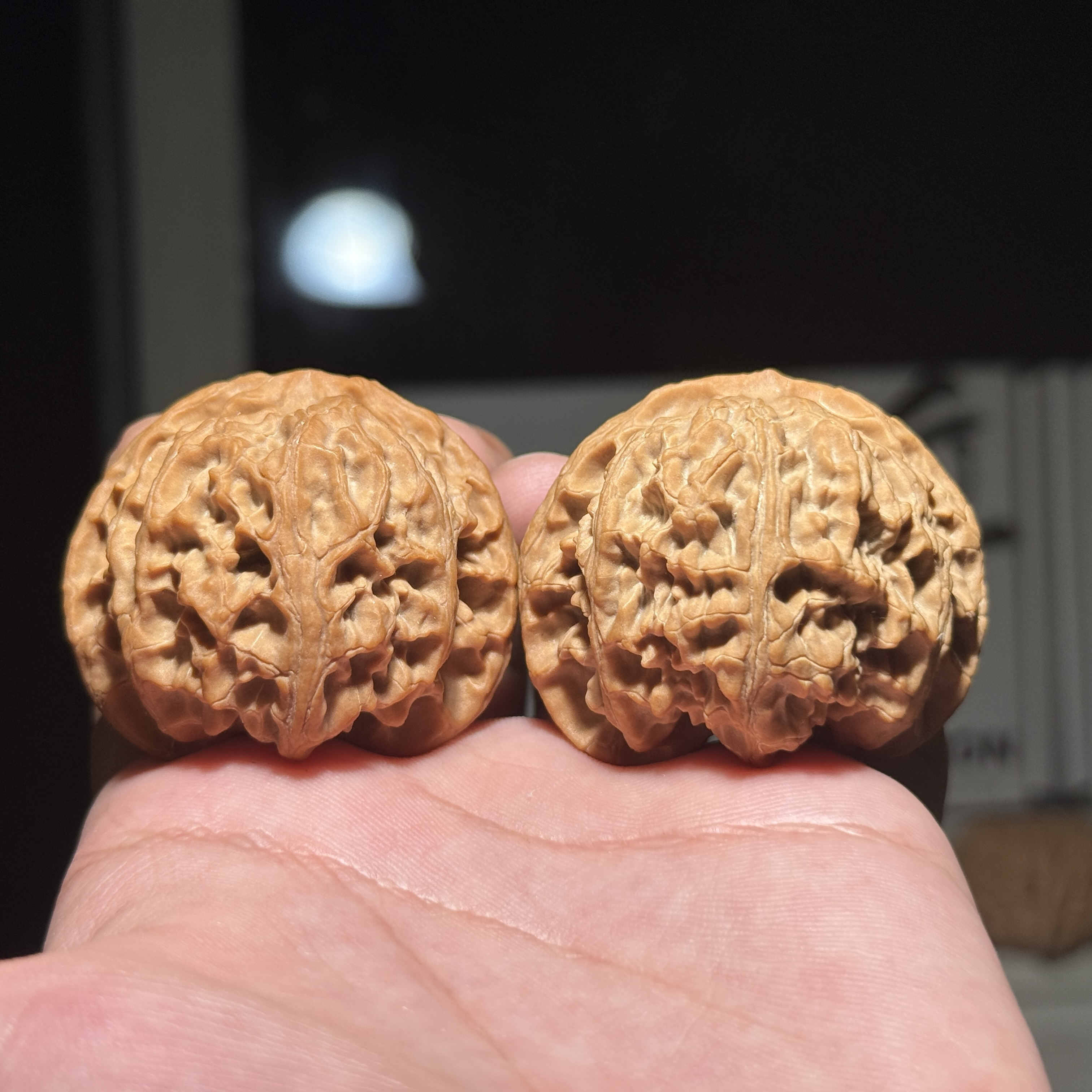 43尺寸苹果园收藏级