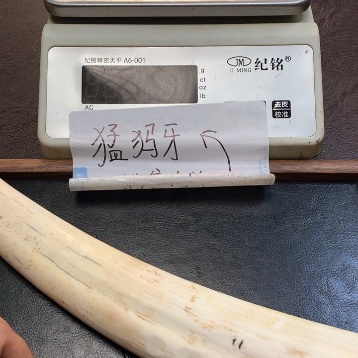 猛犸象牙把件AL02