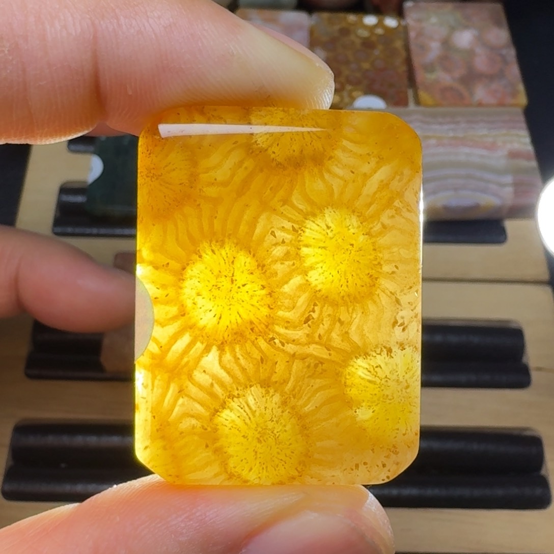 硅化珊瑚（珊瑚玉）纯天然色有机玉石未镶嵌