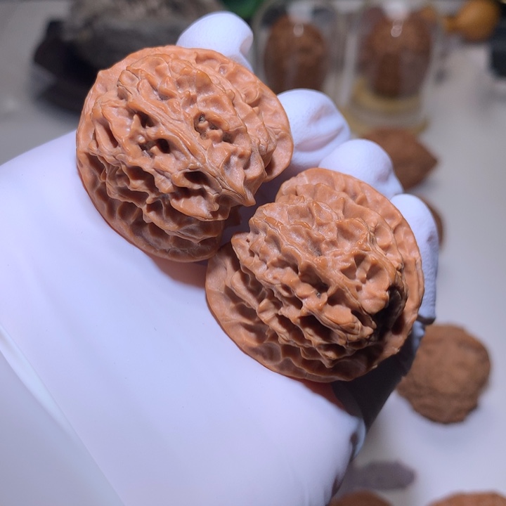 文玩核桃把件苹果园