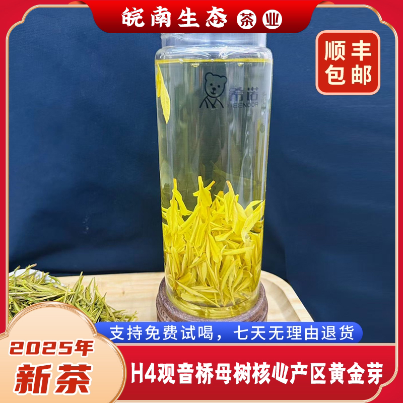 【皖南生态】2025-H4安吉观音桥村母树核心产区明前豆栗香型黄金芽