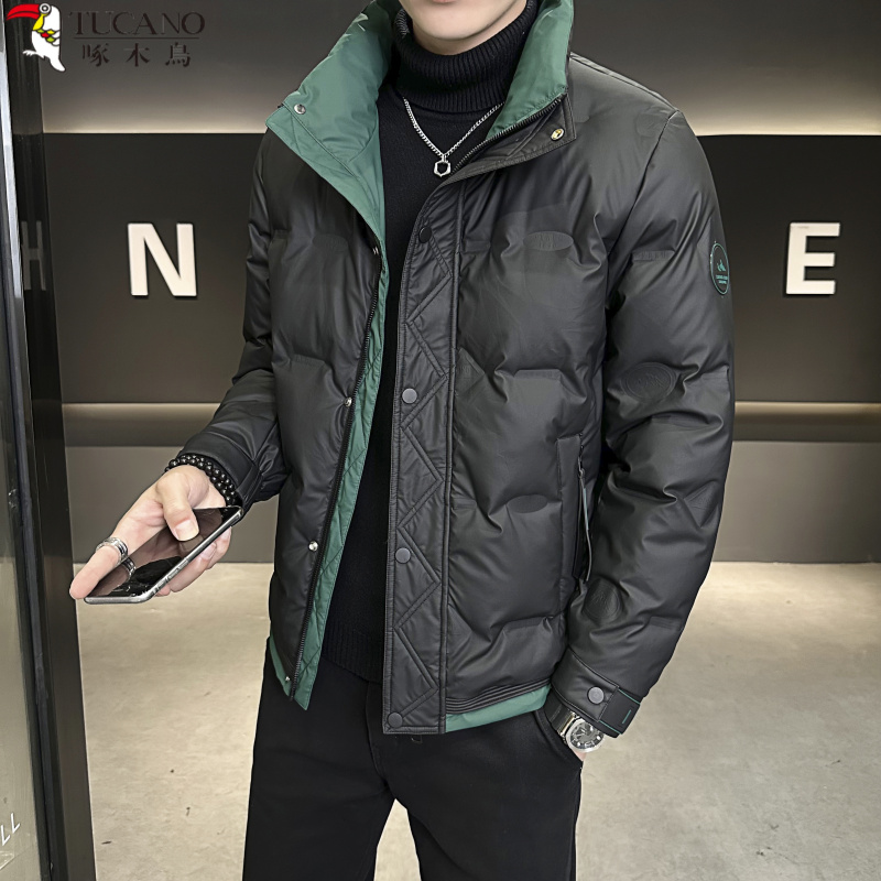 啄木鳥男青年立领羽绒棉服舒适潮流休闲保暖轻薄修身帅气时尚外套