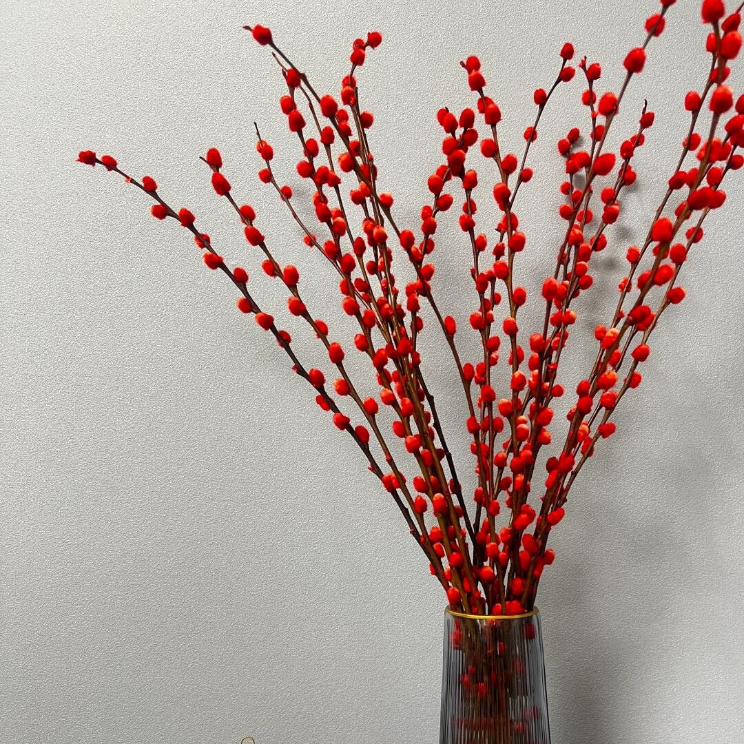 银柳 60公分长 3扎（30枝）插一个花瓶 正好  适合插花瓶 先水养 后做干花  可以插一年