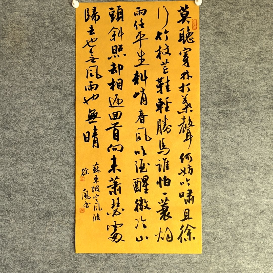 书法定风波四尺四开两平尺34*68厘米手写书法