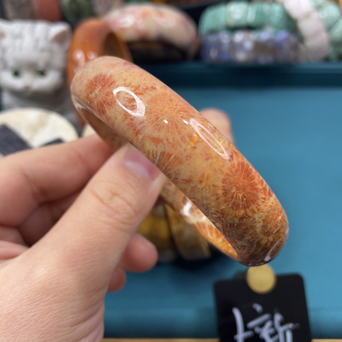 未镶嵌手镯硅化玉