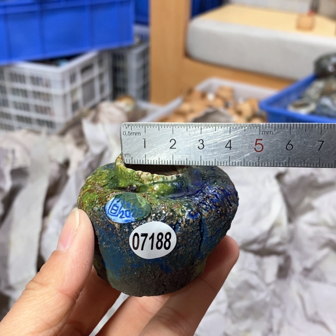 花盆拍3送一个小礼物