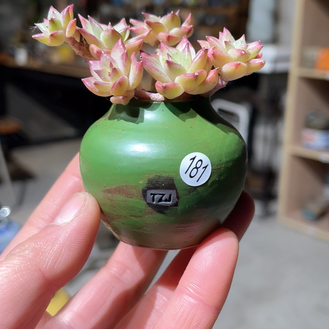 红陶内口2.5外高4.5