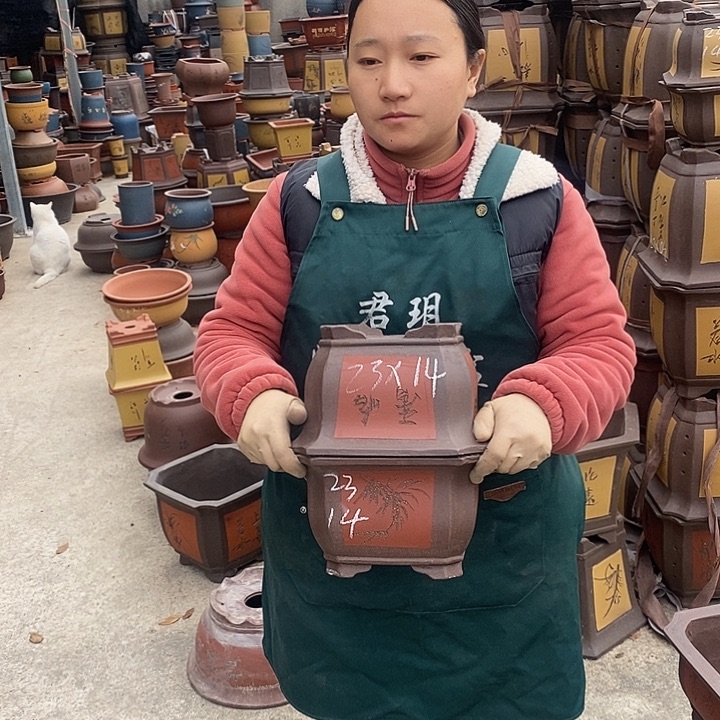 紫砂花盆紫砂花盆盆栽花卉苗木种植
