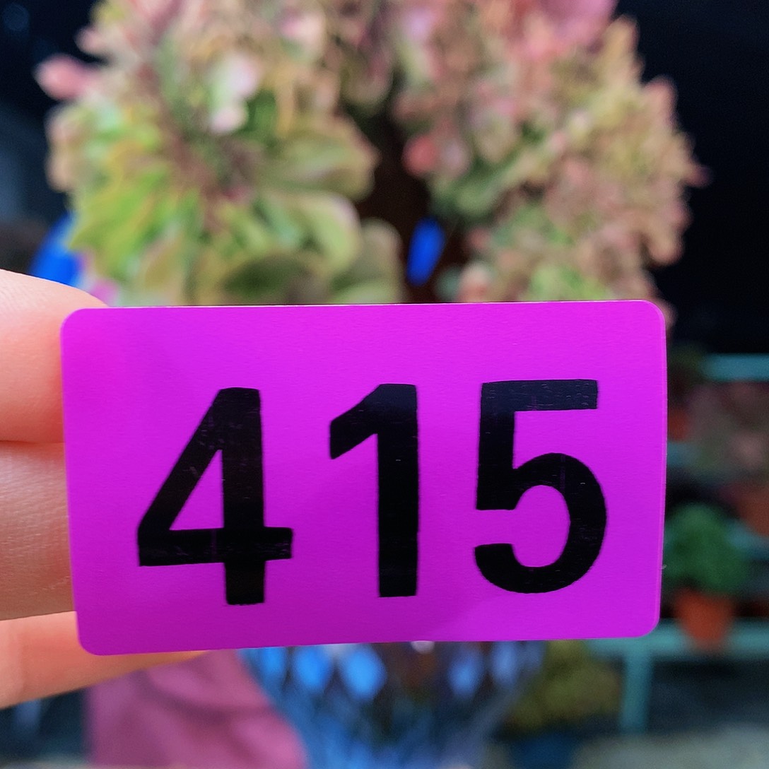 sssssssssssssssssssss415