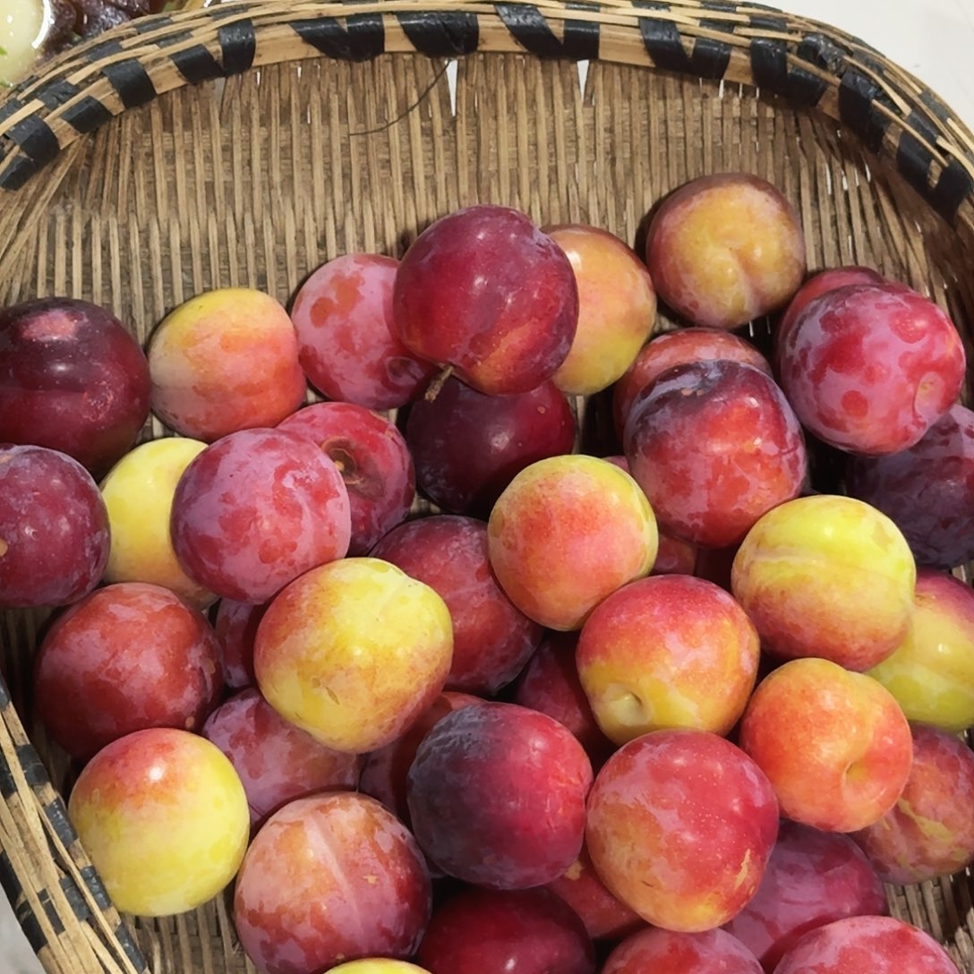 中国大陆大红李3斤