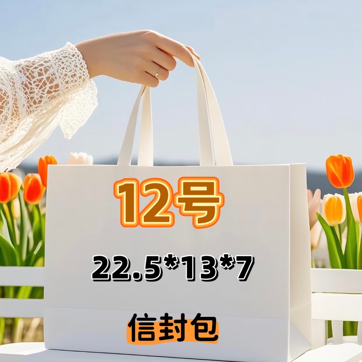 12号(S）经典时尚鱼子酱信封单肩包