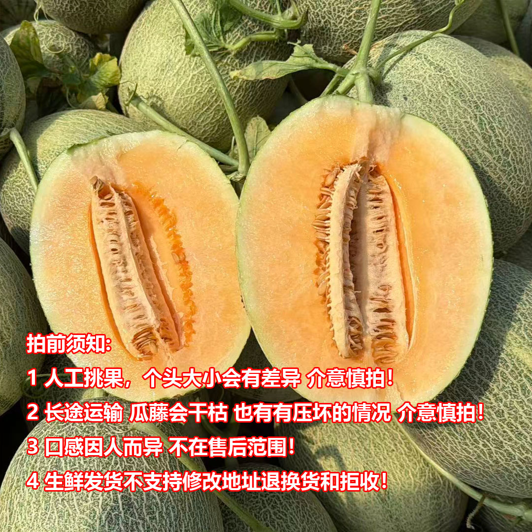 【中通】海南岛沙地晓蜜哈密瓜 脆甜多汁