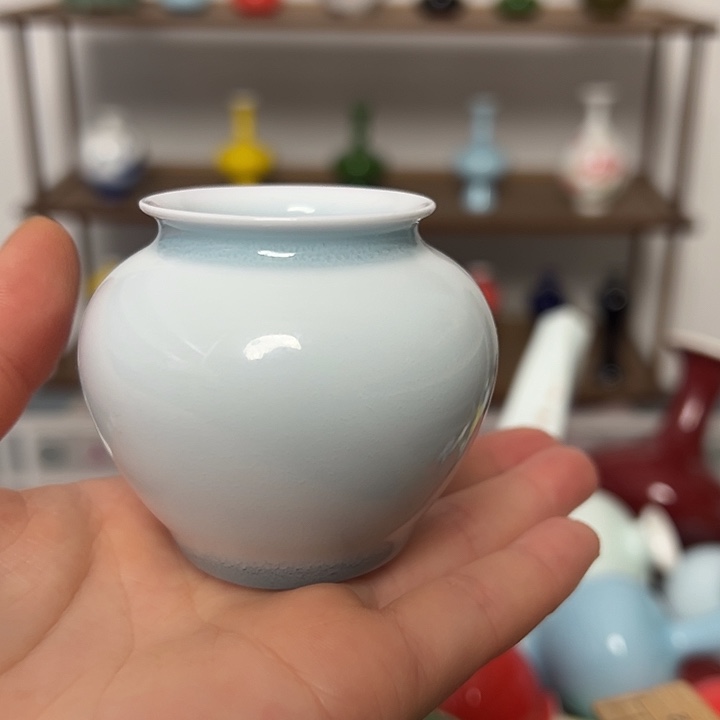 瓶景德镇陶瓷研究所学会