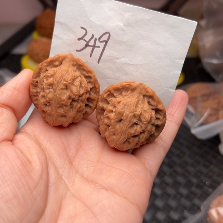 核桃375尺寸全品玄武