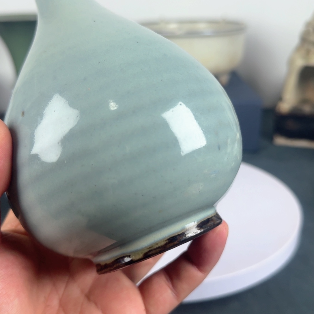 碟实****万兔兔邻居家教练邻居