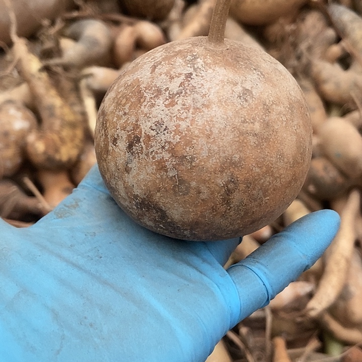 *****直播间里的拍品链接