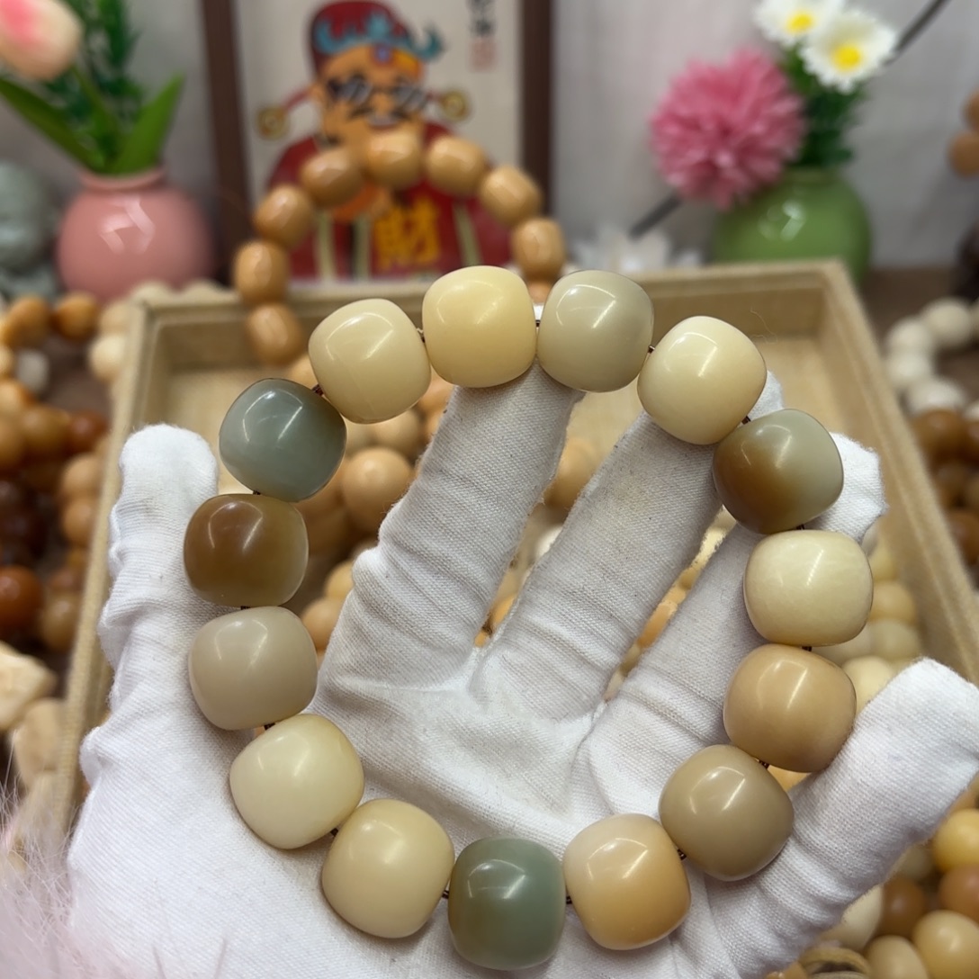 吊坠菩提根/象牙果18干磨瑕疵落地果106