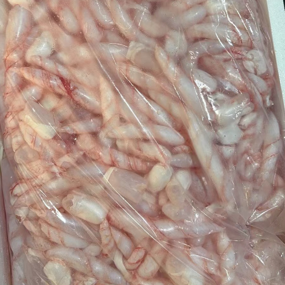 新鲜草鱼泡1斤装扎破发货