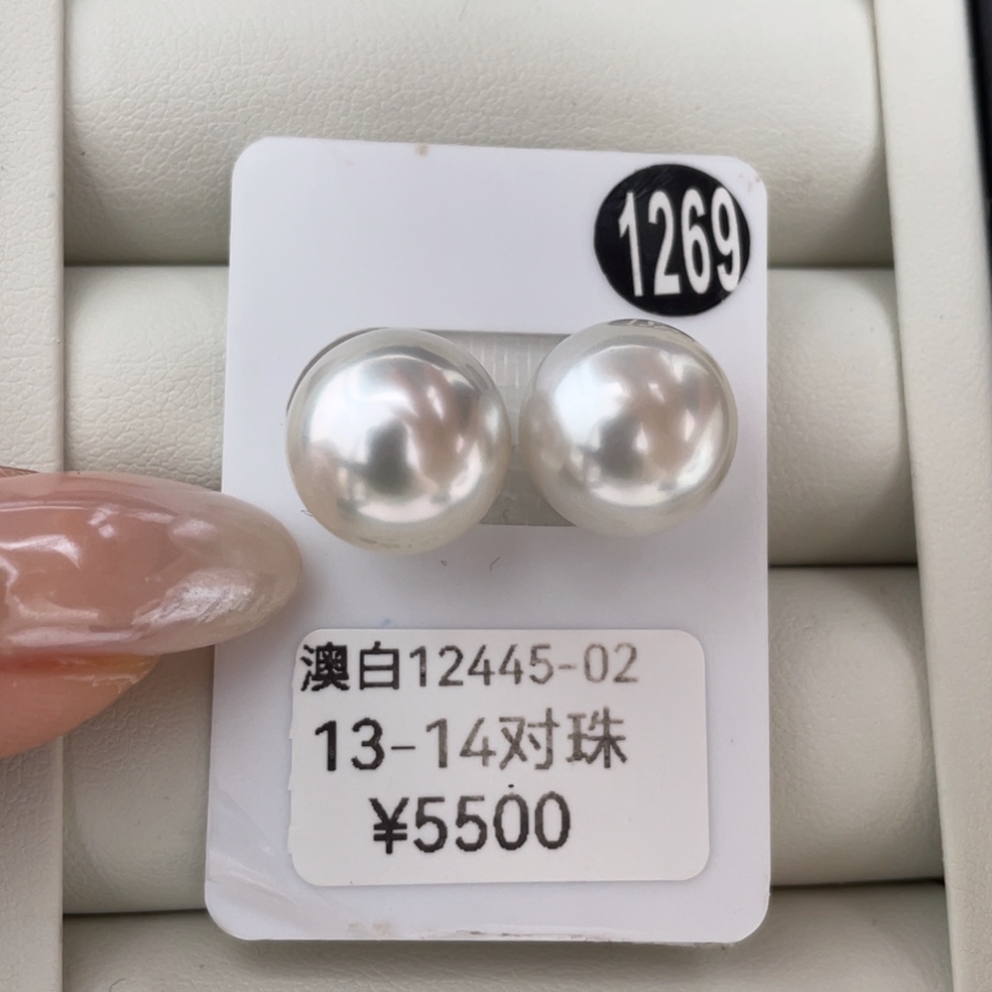 定制海水珍珠未镶嵌耳饰澳白13-14mm
