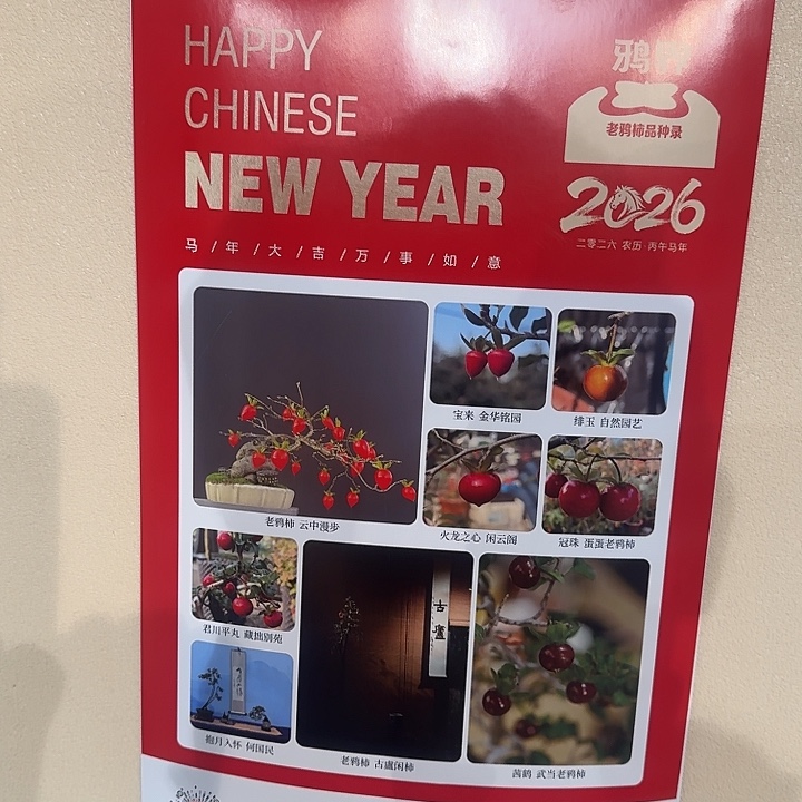 我***字鸦界挂历一本顺丰到付