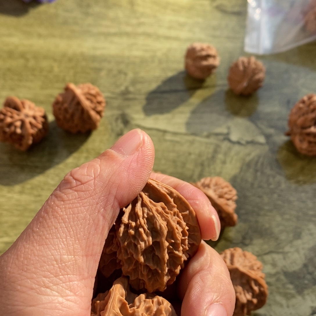 秦岭南侧和东北北部分别位于