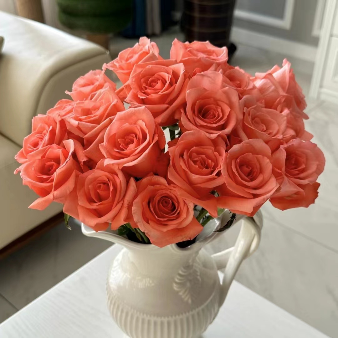 10枝影星单头玫瑰 基地花有夹枝侧枝 (两单发顺丰或京东快递)