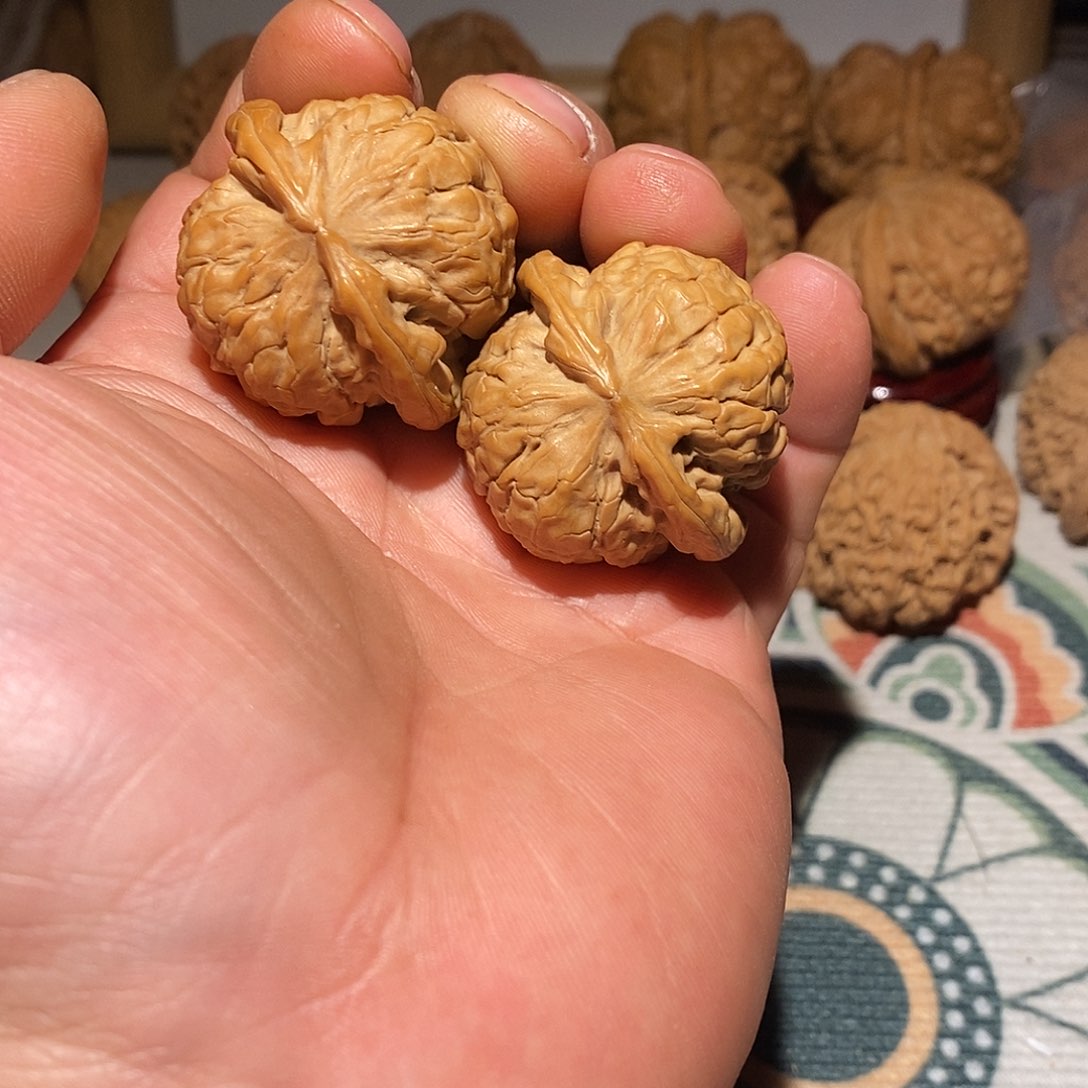 文玩核桃把件37尺全品甲骨文