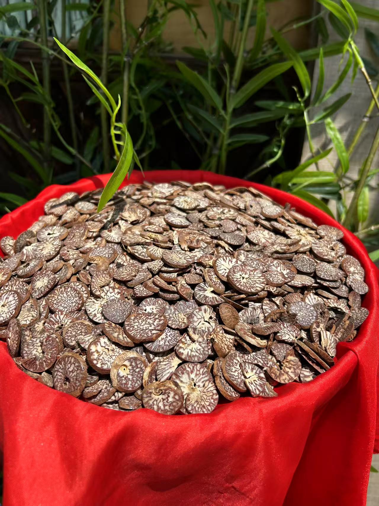 1【清-瘴-丹】净含量：250-1500g【阿奎现收】