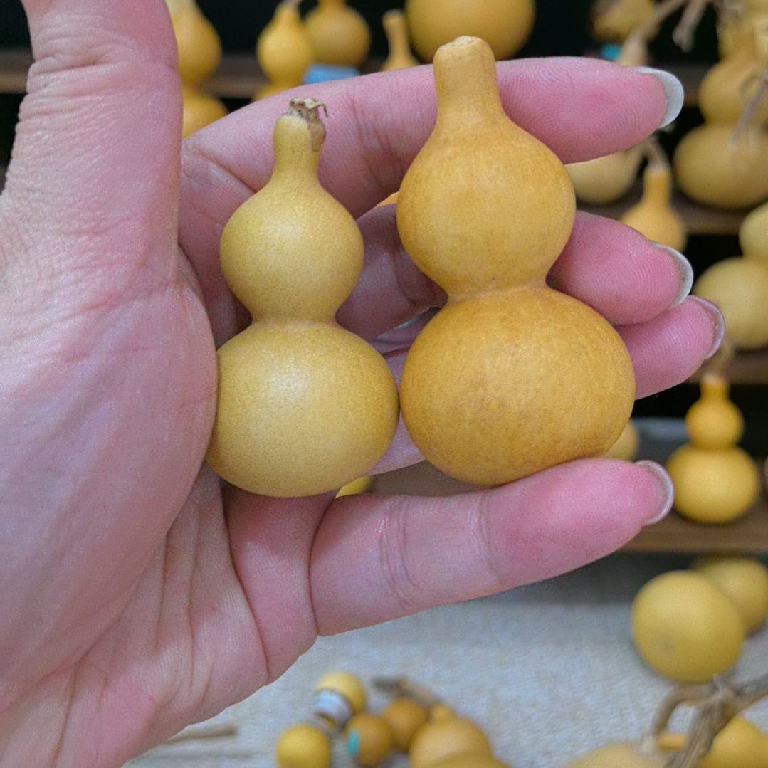 行***叔大叶紫檀（黑酸枝木类）