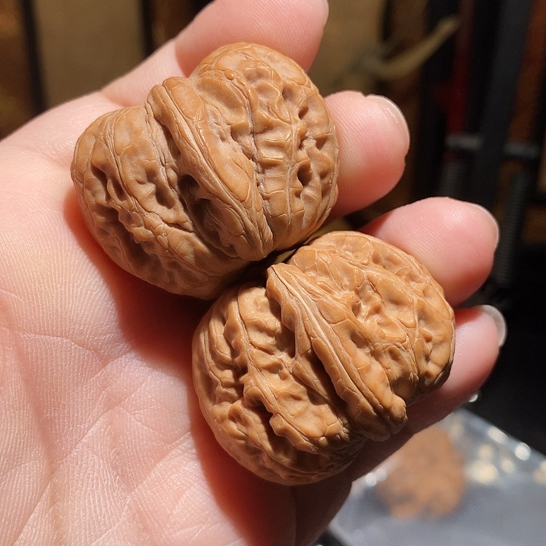 文玩核桃把件40元宝全品