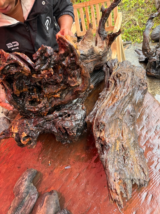 民间使用风化木阴沉木，