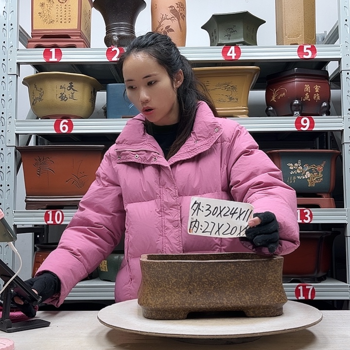 紫砂花盆紫砂花盆