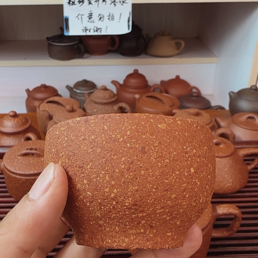 山***雨茶壶紫砂八目红降洗砂主人林100cc