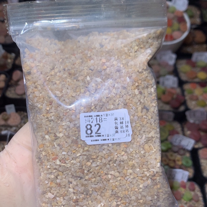 精品生石花218.82