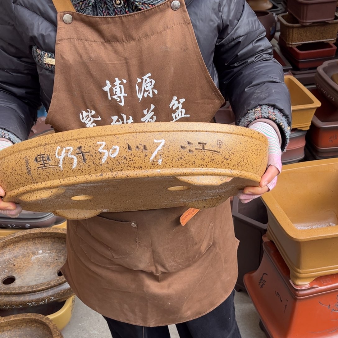 紫砂花盆盆景艺术