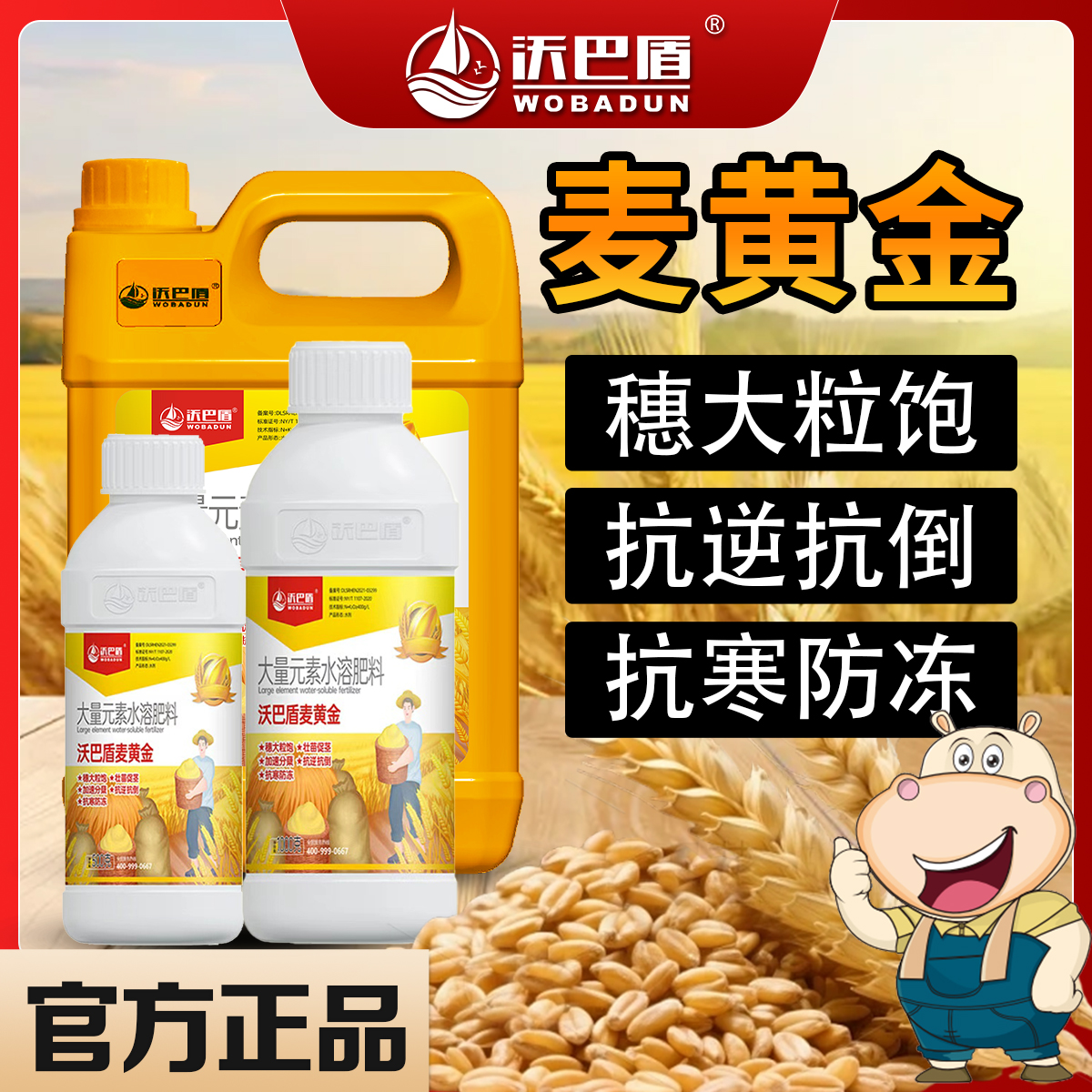 沃巴盾麦黄金小麦宝宝专用促茎分蘖多籽粒饱抗倒伏小麦抗寒叶面肥