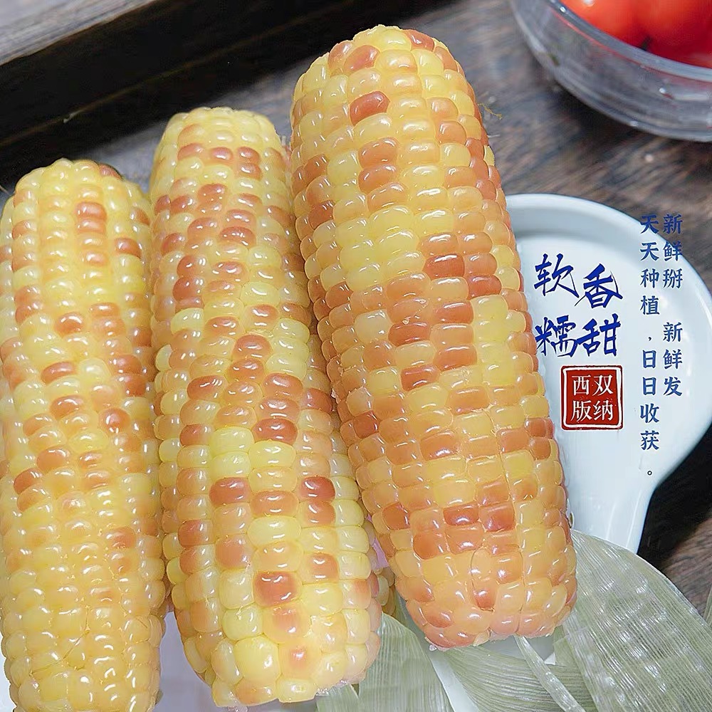 云南西双版纳小花糯玉米真空包装锁鲜加热即食花糯香糯小玉米0031